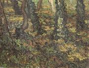 Vincent Van Gogh Tree Trunks with Ivy (nn04) oil painting reproduction